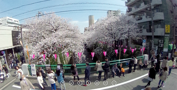 桜2014 360度カメラ